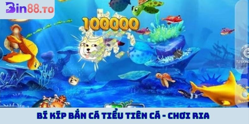 Bí kíp bắn cá Tiểu Tiên Cá - chơi ria