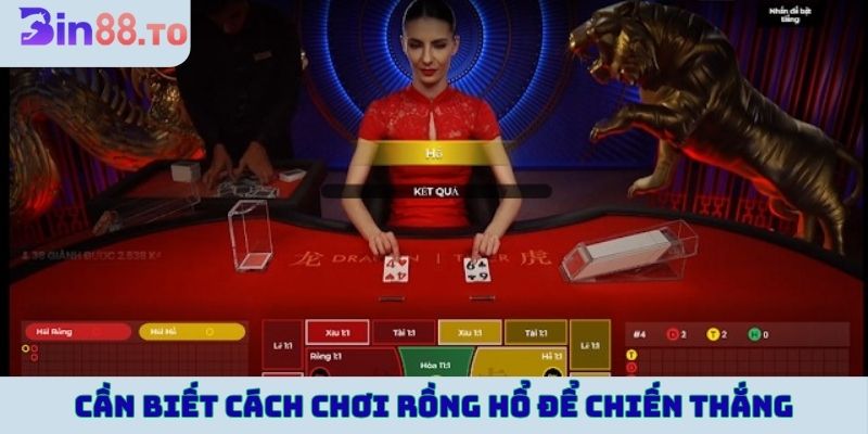 Người chơi cần biết cách chơi rồng hổ để chiến thắng