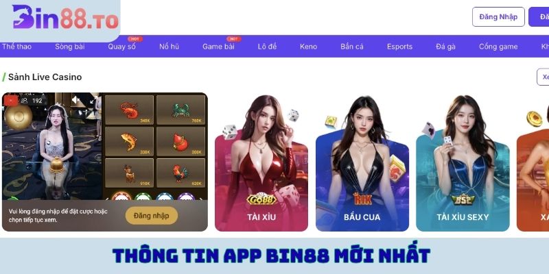 Thông tin app BIN88 mới nhất
