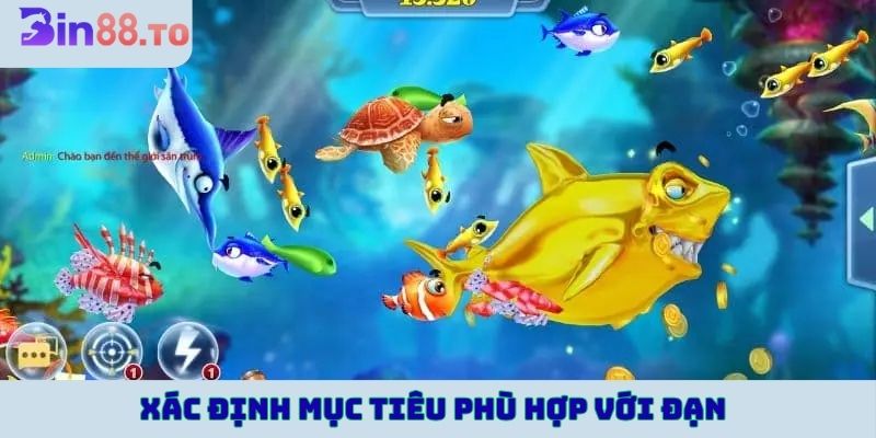 Xác định mục tiêu phù hợp với đạn