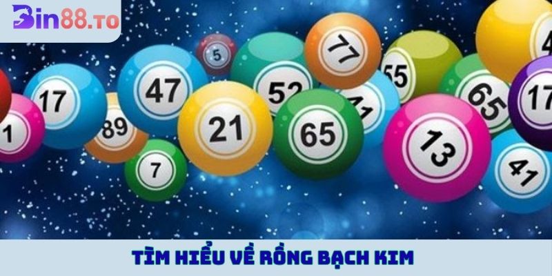 Tìm hiểu về Rồng Bạch Kim