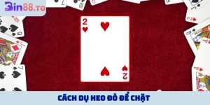 cách dụ heo đỏ để chặt